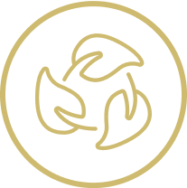 check icon
