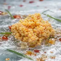Protease